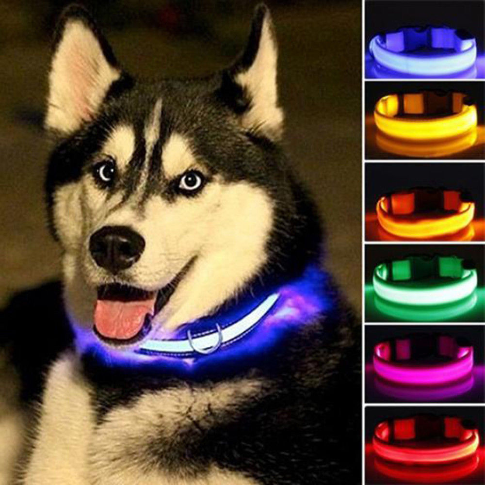 SlumberPaws™ Neon Glow LED Collar Set (2-Pack)