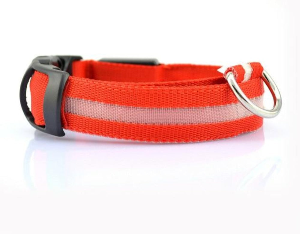 SlumberPaws™ Neon Glow LED Collar Set (2-Pack)