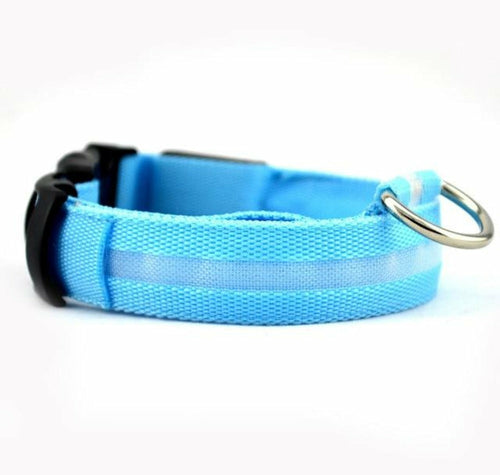 SlumberPaws™ Neon Glow LED Collar Set (2-Pack)