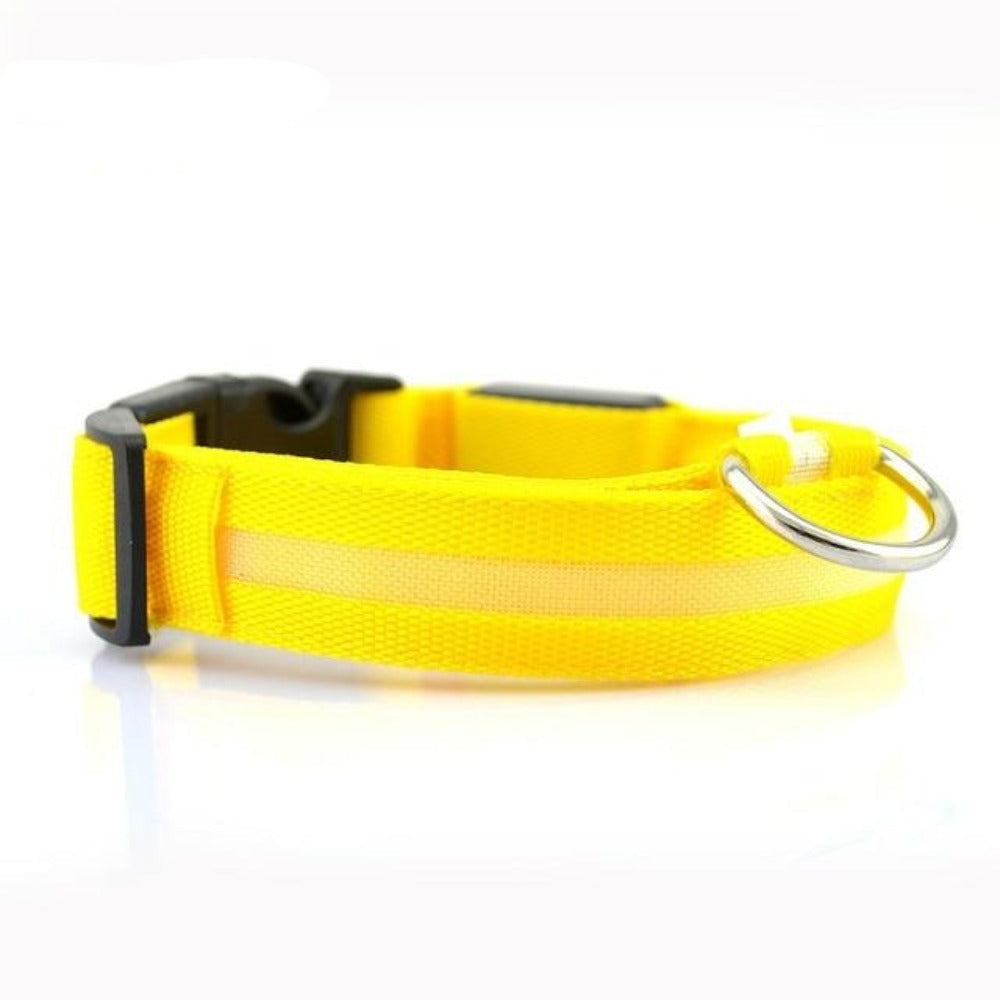 SlumberPaws™ Neon Glow LED Collar Set (2-Pack)