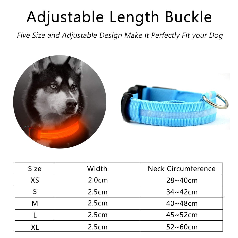 SlumberPaws™ Neon Glow LED Collar Set (2-Pack)