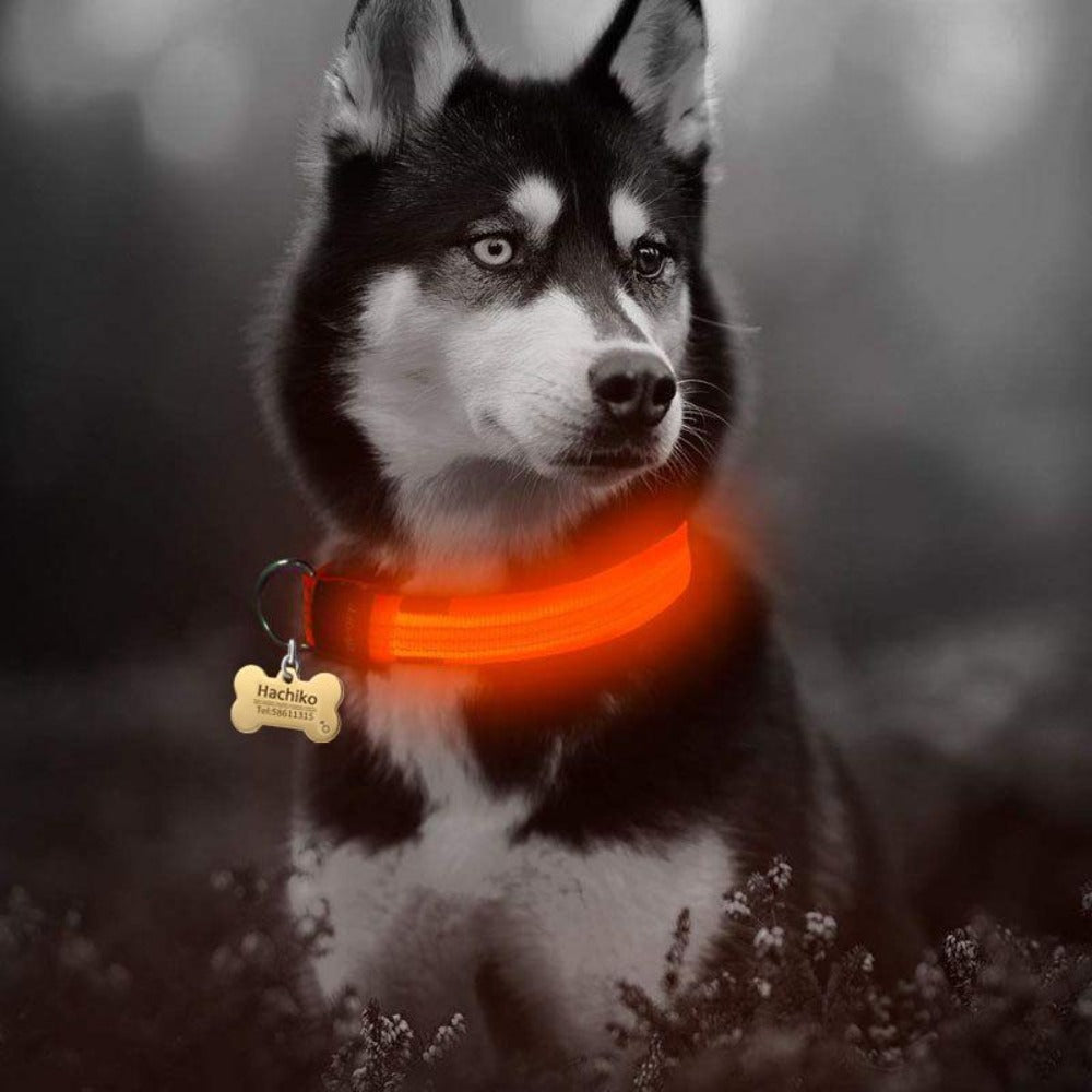 SlumberPaws™ Neon Glow LED Collar Set (2-Pack)